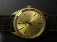 Roamer6.jpg